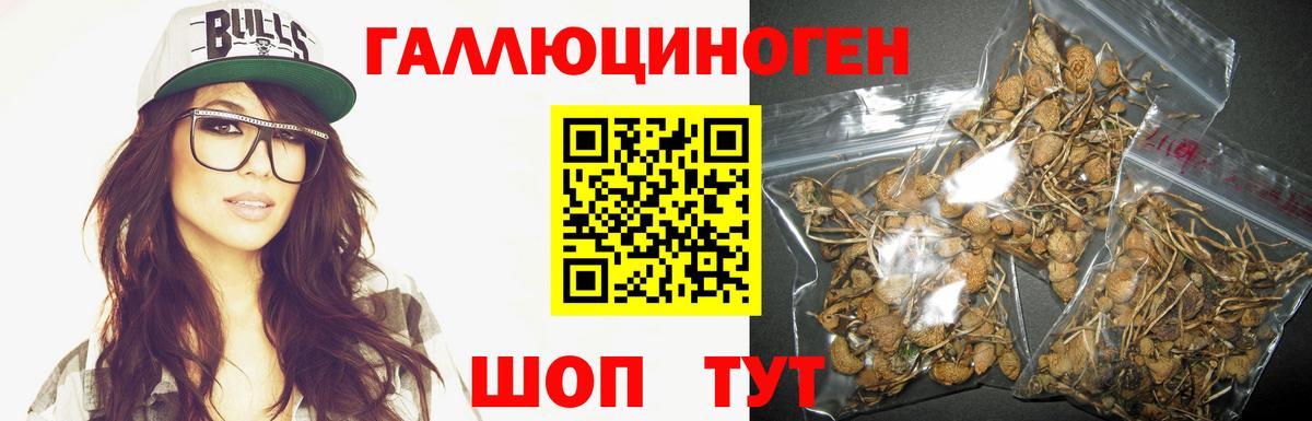 Галлюциногенные грибы Cubensis  Галлюциногенные грибы Psilocybine cubensis  Вход с VPN  Феодосия 